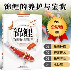 正版现货 锦鲤的养护与鉴赏 池塘养鱼观赏鱼养殖技术大全书籍