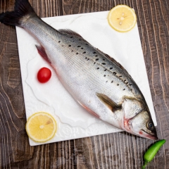 新鲜海捕鲈鱼鲜活3条冰冻海鲜水产生鲜 大七星鲈鱼冷冻包邮深海鱼