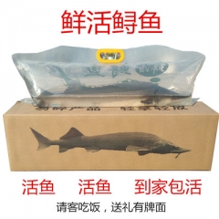 活鱼到家3斤礼品鲟鱼鲟龙鱼新生鲜海鲜活体中华食用鲟活鱼淡水产